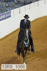 13r9_1086 thumbnail