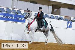 13r9_1087 thumbnail