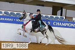 13r9_1088 thumbnail