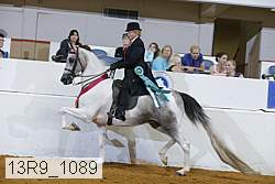 13r9_1089 thumbnail