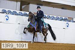 13r9_1091 thumbnail