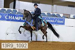 13r9_1092 thumbnail
