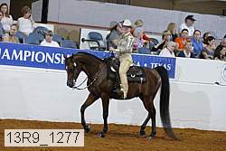 13r9_1277 thumbnail