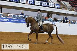 13r9_1450 thumbnail