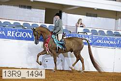 13r9_1494 thumbnail