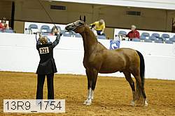 13r9_1754 thumbnail