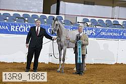 13r9_1865 thumbnail