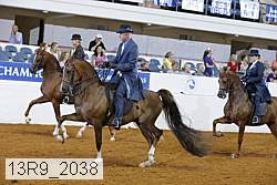 13r9_2038 thumbnail