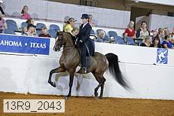 13r9_2043 thumbnail