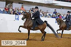 13r9_2044 thumbnail