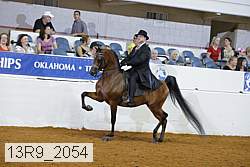 13r9_2054 thumbnail