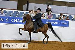 13r9_2055 thumbnail