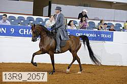 13r9_2057 thumbnail