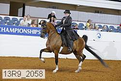 13r9_2058 thumbnail