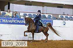 13r9_2085 thumbnail