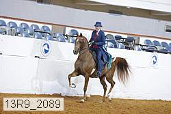 13r9_2089 thumbnail