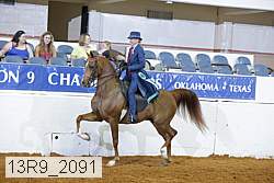 13r9_2091 thumbnail