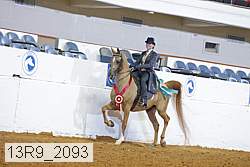 13r9_2093 thumbnail