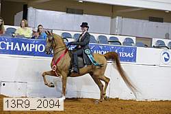 13r9_2094 thumbnail