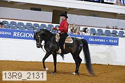 13r9_2131 thumbnail
