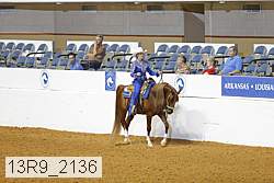 13r9_2136 thumbnail
