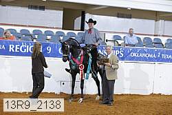 13r9_2138 thumbnail
