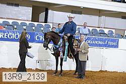13r9_2139 thumbnail