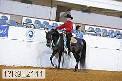 13r9_2141 thumbnail