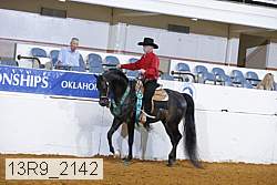 13r9_2142 thumbnail