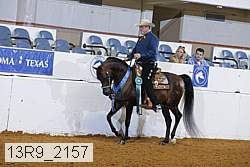 13r9_2157 thumbnail