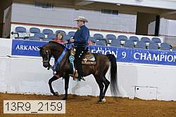 13r9_2159 thumbnail