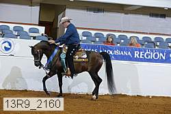 13r9_2160 thumbnail