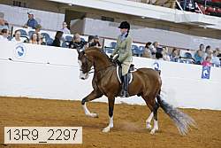 13r9_2297 thumbnail