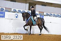 13r9_2329 thumbnail