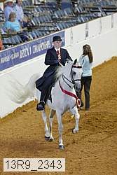 13r9_2343 thumbnail