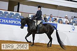 13r9_2562 thumbnail