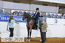 13r9_2626 thumbnail