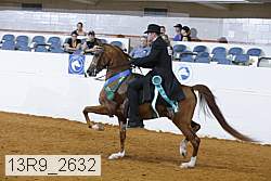 13r9_2632 thumbnail