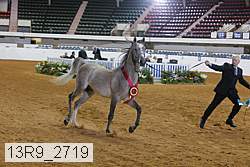 13r9_2719 thumbnail