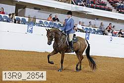 13r9_2854 thumbnail