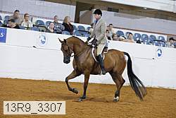13r9_3307 thumbnail