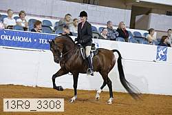 13r9_3308 thumbnail