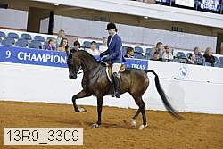 13r9_3309 thumbnail