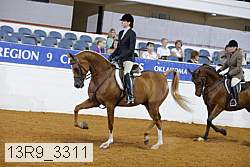 13r9_3311 thumbnail