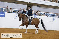 13r9_3317 thumbnail