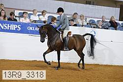 13r9_3318 thumbnail