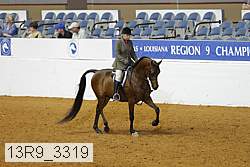 13r9_3319 thumbnail
