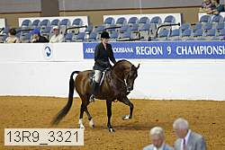 13r9_3321 thumbnail