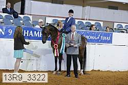 13r9_3322 thumbnail
