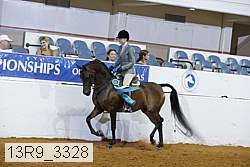 13r9_3328 thumbnail
